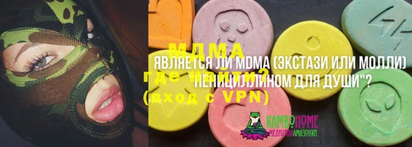 дживик Бородино