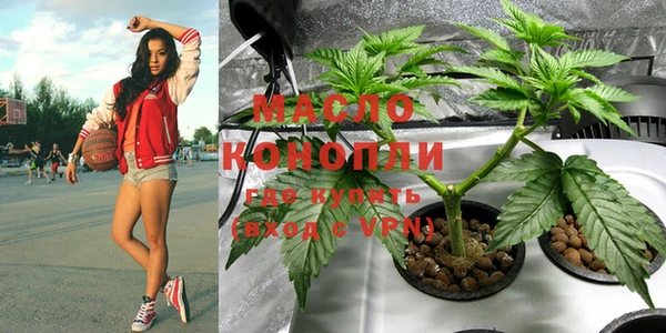 дживик Бородино