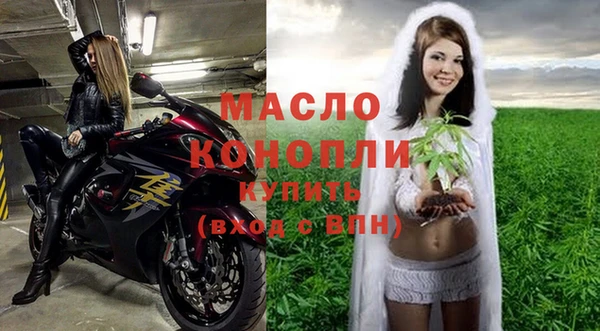 дживик Бородино