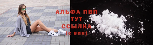 дживик Бородино