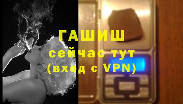 дживик Бородино