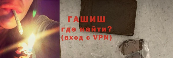 дживик Бородино