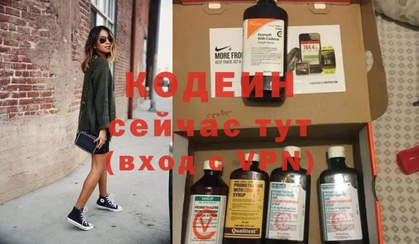 дживик Бородино