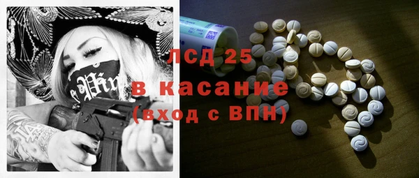 дживик Бородино
