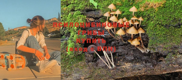 дживик Бородино