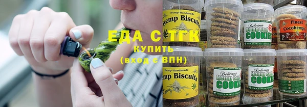 дживик Бородино
