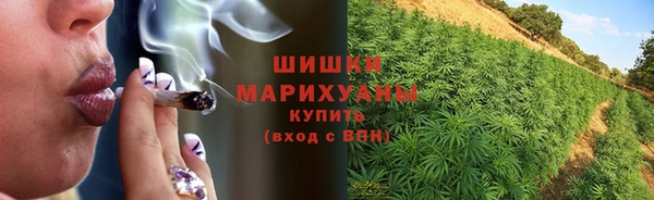 гидра Бугульма