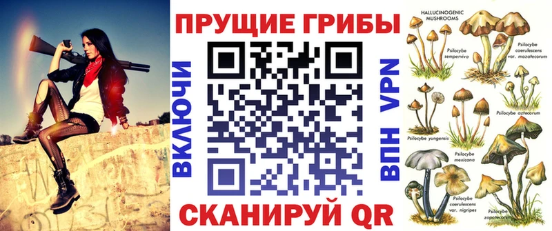 MEGA ссылки  магазин    Южноуральск  Галлюциногенные грибы Cubensis 